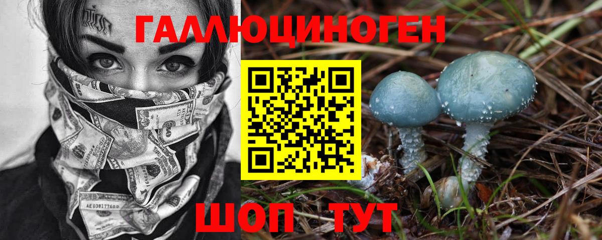 Галлюциногенные грибы прущие грибы  где найти   Тайшет  Вход с VPN 