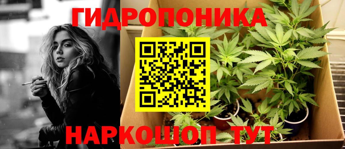 Cocaine Тайшет